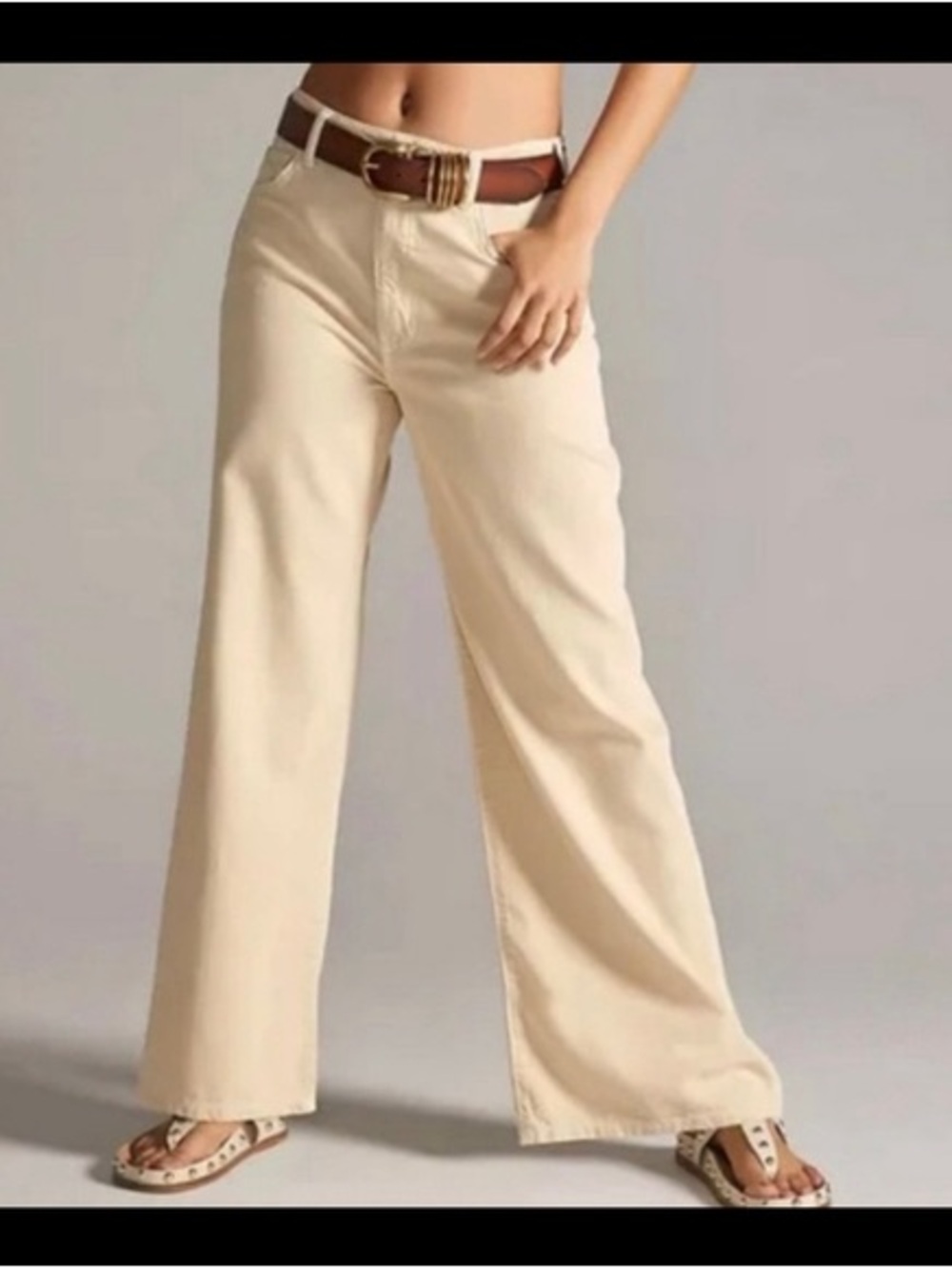 Anthropologie Pilcro Annie Wide Leg Pants